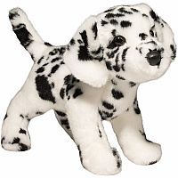 Evie Dalmation