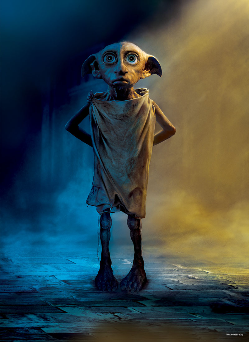 1000pc HP Dobby on Classic Toys - Toydango