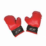 Boxing Set