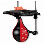 Basketball & Boxing Combo