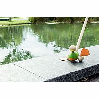 Push-Along Duck