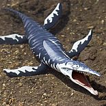 Kronosaurus