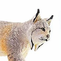 Lynx