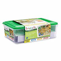 Sensory Bin Dinosaur Dig