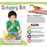 Sensory Bin Dinosaur Dig