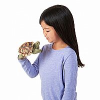 Mini Tortoise