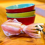 Incred Crea Reef Squid